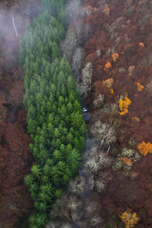 Bird’s Eye View by Fabian F_