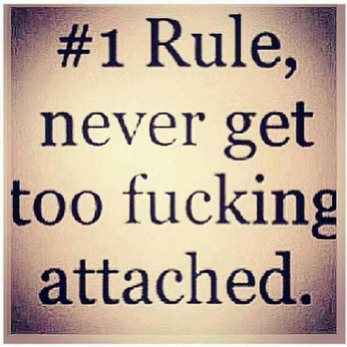 .. Just Sayin'
