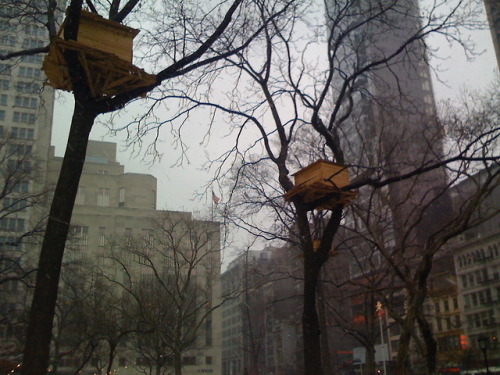 quickienewyork:  (Picture of Madison Sq Park Treehouse Art Installation)The Treehouse“We wouldn’t fit inside! Our ability to get up there is irrelevant.”“Come on, we could at least try,” she said, dragging me towards the lowest one. “It’s