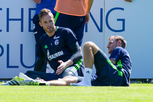 benedikt höwedes