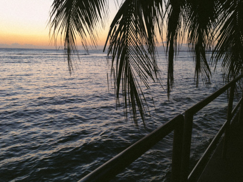 gypsyone:  Must be a word for someone who is obsessed with sunsets…..