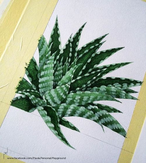 Wip….. #watercolor #wip #painting #watercolorart #watercolorpainting #drawing #succulents #al