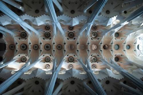 chriskenchphotography:Sagrada Família interior - Barcelona