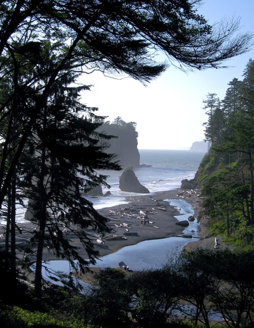 guidedsailor:Ruby Beach, Olympic Peninsula