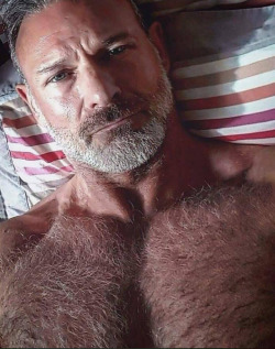 mydaddyishairy:   My Daddy is Hairy - over 111,000 followers: Archive  