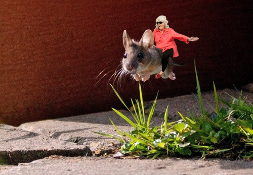 509cub:  tastefullyoffensive:  Mouse Leaping Over Grass Photoshop Battle [via]Previously: Flyboarding Leonardo DiCaprio PS Battle    Star Wars for the win