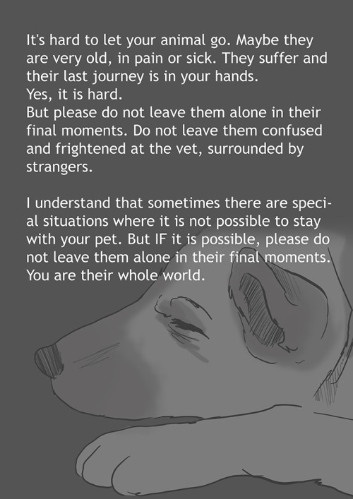 TW: animal deathThis topic was requested soooo many times, but this one broke me. As a dog owner, th