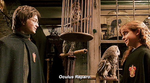 pottersource:Harry Potter and the Chamber of Secrets (2002) dir. Chris Columbus