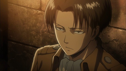 Levi