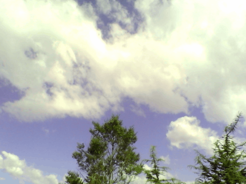 mortalkid:  windy days are my favourite 