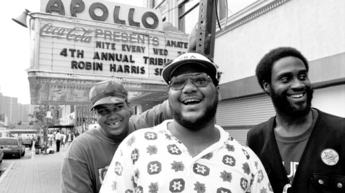 20 Years Ago De La Soul Refused To Go Pop (via nprmusic) This year marks the 20th anniversary of a remarkable year in music. Over the 12 months of 1993, Queen Latifah, Salt ‘n’ Pepa, Snoop Dogg, A Tribe Called Quest, the Wu-Tang Clan and