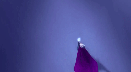 hafanforever:❄️ ❄️ Elsa displaying her ice powers using her left hand. ❄️ ❄️