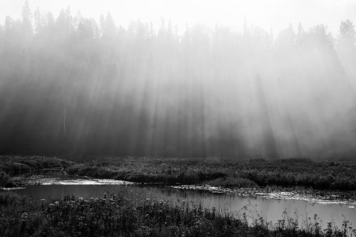 Algonquin Park day trip