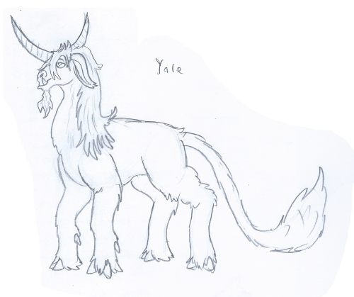 tyrantisterror:Drew some weird horses today.The Wild Catoblepas: one of the smallest species of behe