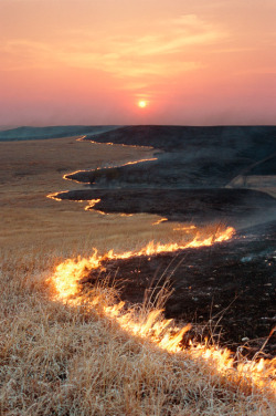 bluepueblo:  Prairie Fire, Flint Hills, Kansas