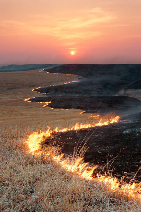 bluepueblo:  Prairie Fire, Flint Hills, Kansas photo via thehome 