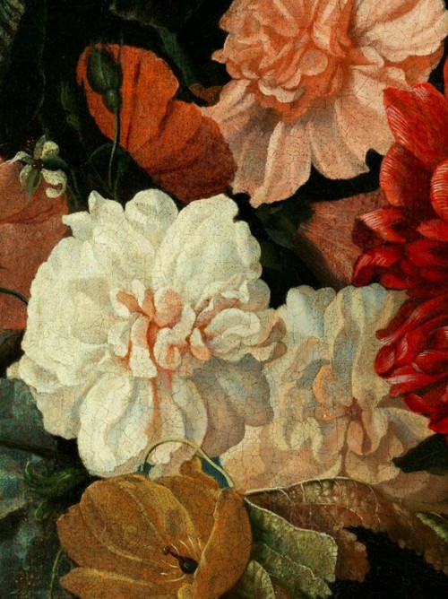 inividia: Flowers piece with frog and snake, Ernst Stuven (German, 1660–1712)