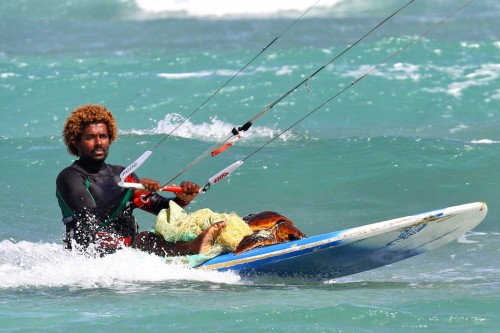 magog83:scienceyoucanlove:World champion kitesurfer rescues sea turtleFebruary 03, 2015 by David Str