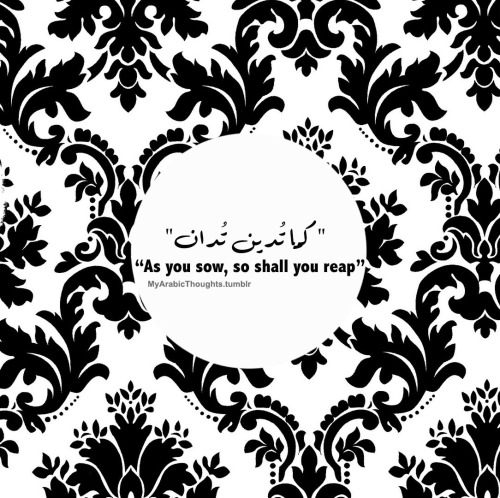 “كما تُدين تُدان”
“As you sow, so shall you reap.”