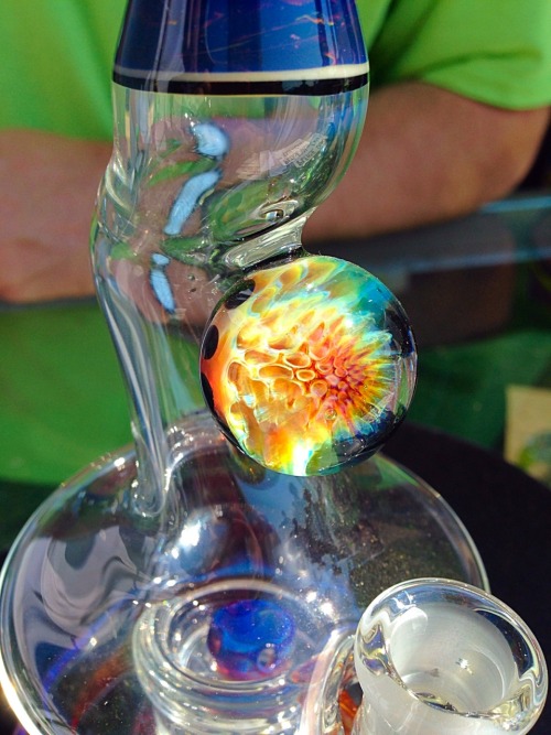 kuush-queen:  chelsoymilk:  greenvelvet420:  chelsoymilk:  Seattle hempfest 2014  This. Fucking. Bea