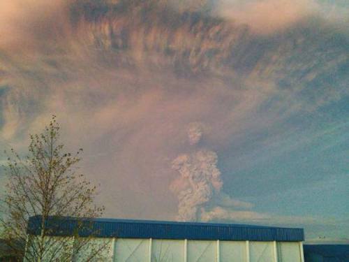 chucrutypilsen:  Gray Giants formed in the shade of the ashes of the erupting Calbuco Volcano in Southern Chile.  Ay chamo