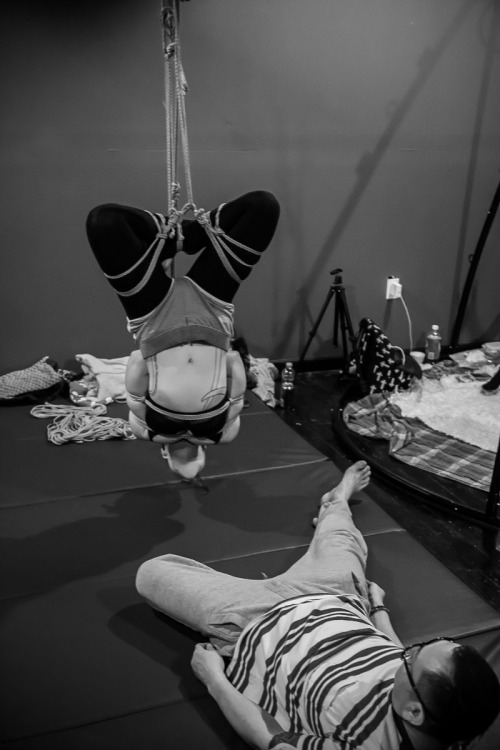 gorgone-kinbaku:Agura / Ebi variations Kinbaku porn pictures