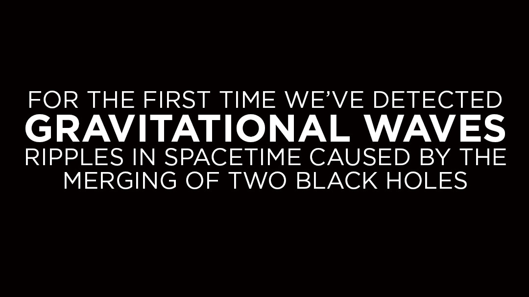 npr:  skunkbear:  This is very cool and a pretty big deal. Find out why.  Big black