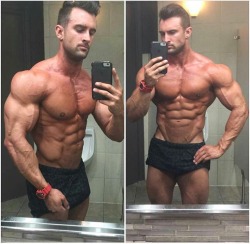 Adonis Files