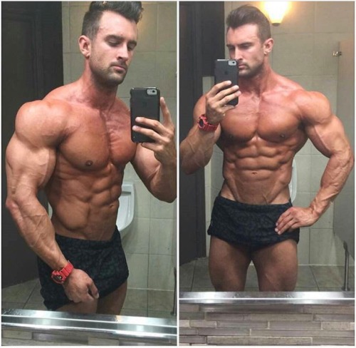 Adonis Files