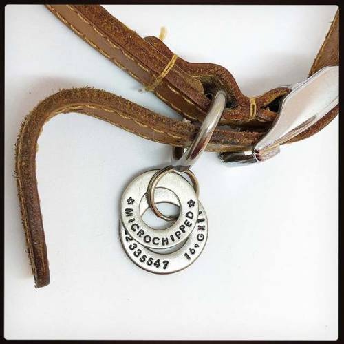 littlealienproducts:Microchipped Pet ID Tag by dogsandhats