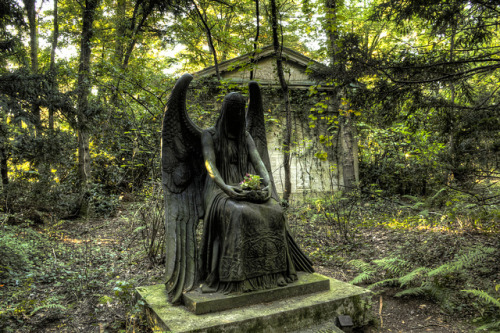 taphophilia:  Dark angel by frogthroat on Flickr.