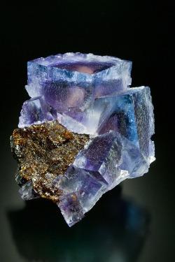 rock-hounds:  Fluorite on SphaleriteCave-in-Rock,