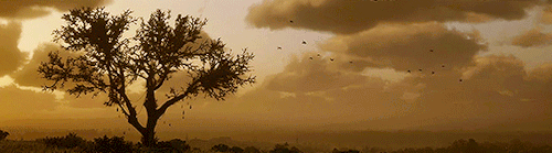 Main Menu Scenes In Red Dead Redemption 2 01/??