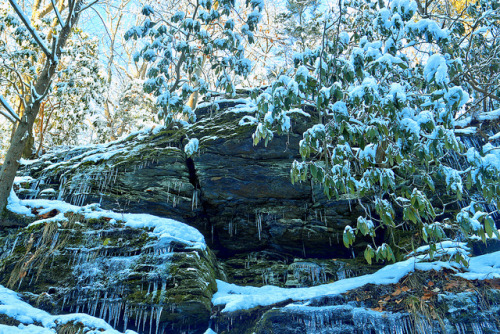 Tucquan Glen Nature Preserve by WabbyTwaxx on Flickr.