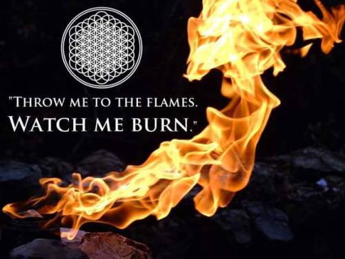carladay77:  Hospital for Souls // Bring Me The Horizon