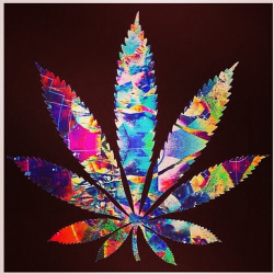 obeytheprophecy:  ▲ obey the prophecy ▲ the door to wonderland