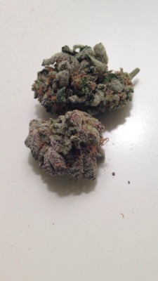 cassbr0:  My nugz are daaank 🔥🔥 