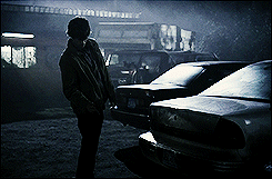 out-in-the-open:  Mighty Winchesters vs cats 