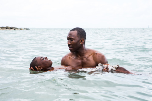 — Moonlight (2016)