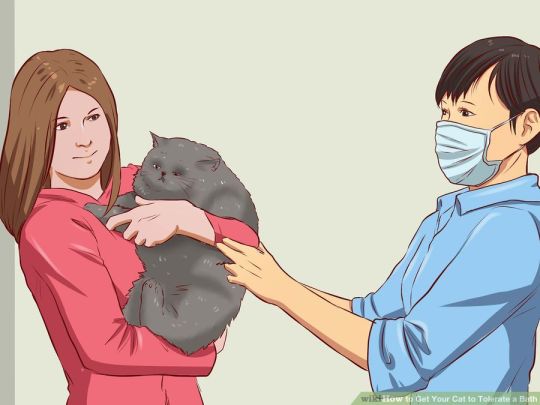 ultrabeast05:  Current mood: Wikihow cat who can’t tolerate baths  
