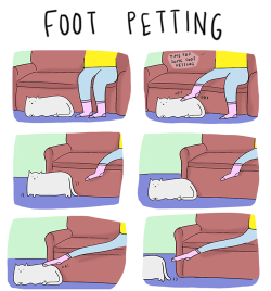 imoquest:  Foot Petting 