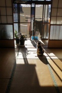 sasaq:  後ろ姿QQQ : すみやのひとり言・・・