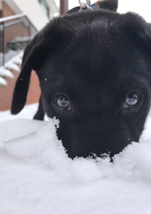 His first snow.