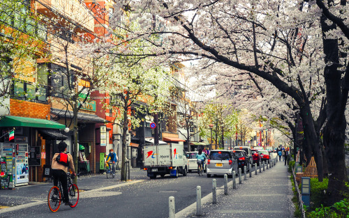 ourbedtimedreams:Kiyamachi Street 木屋町通 by どこでもいっしょ on Flickr.