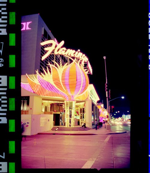 vintagelasvegas:Flamingo, 1994. This small version of the feathers sign was used on the left/north c