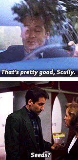 patlaurie:The X-Files Season 1 | Agent Fox Mulder“ I’m not going to give up. I can’t give up. 