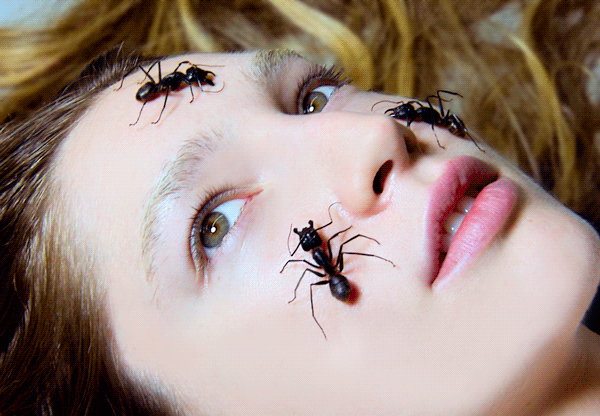 mrgif:  artwerk666 + bugs = good day 