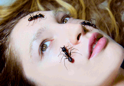 Mrgif:  Artwerk666 + Bugs = Good Day 