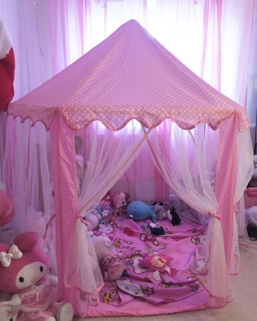 XXX girl–cat:  My princess tent came today!!!! photo