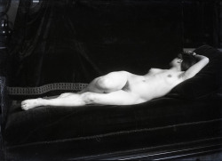 Lumieredesroses:  Photographe Anonyme. Etude De Nu Vers 1900 Courtesy Galerie Lumiere